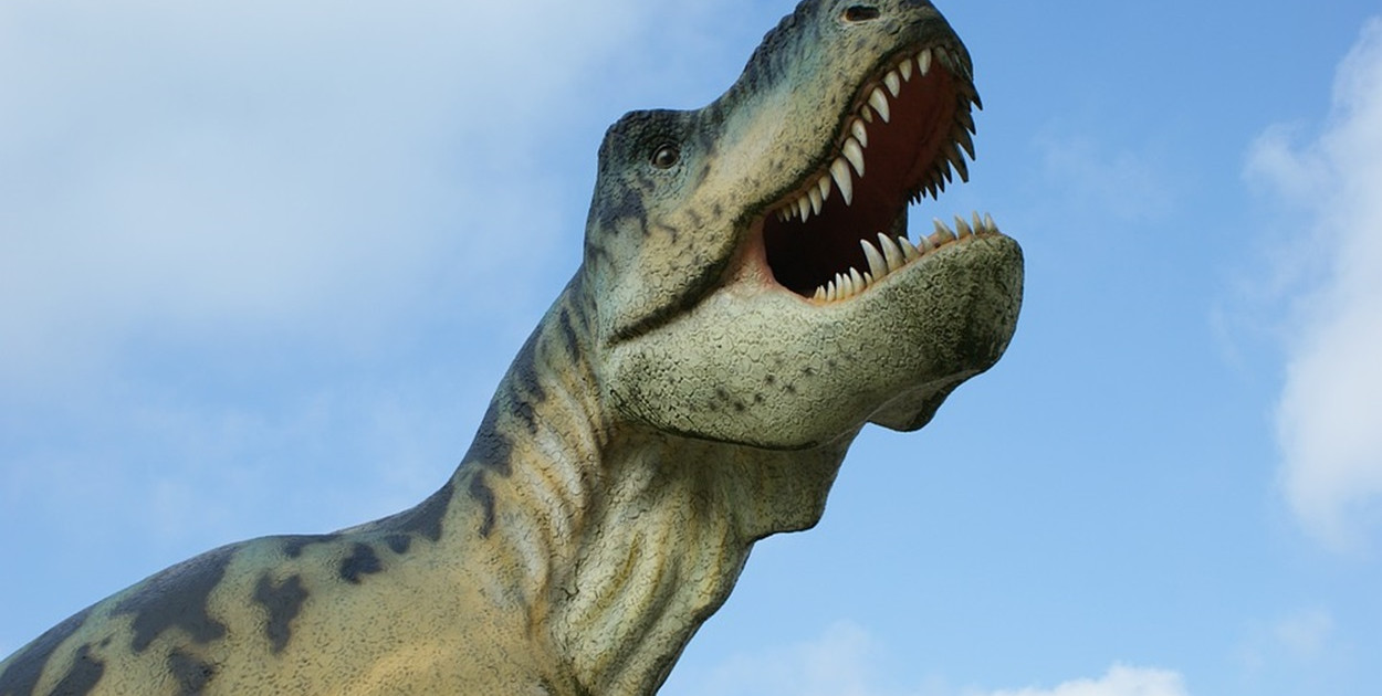 JuraPark Solec Kujawski – Dinozaury i Przygody dla Całej Rodziny