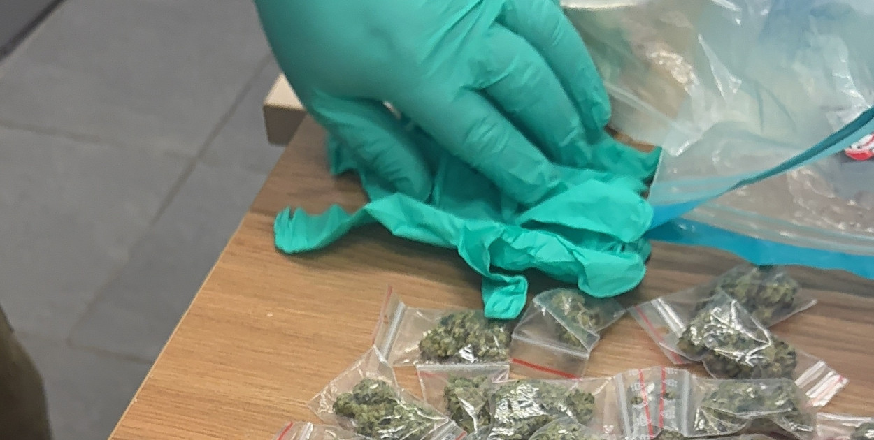 Zatrzymano 10. osób z nielegalnymi substancjami