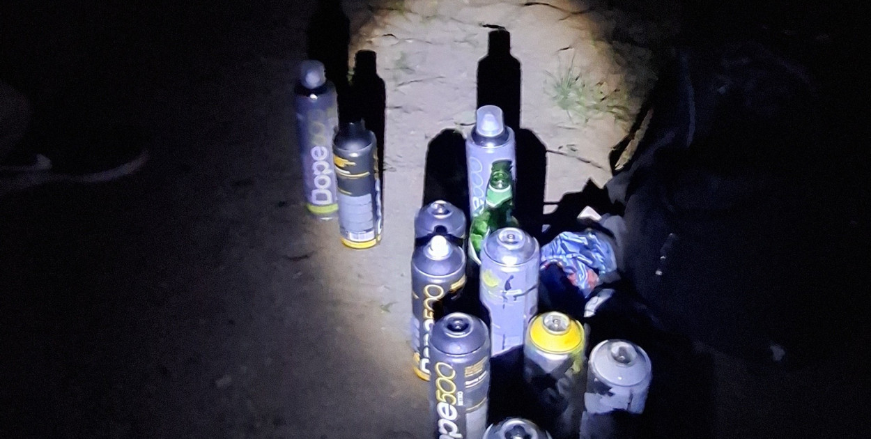 Wandale zatrzymani na gorącym uczynku