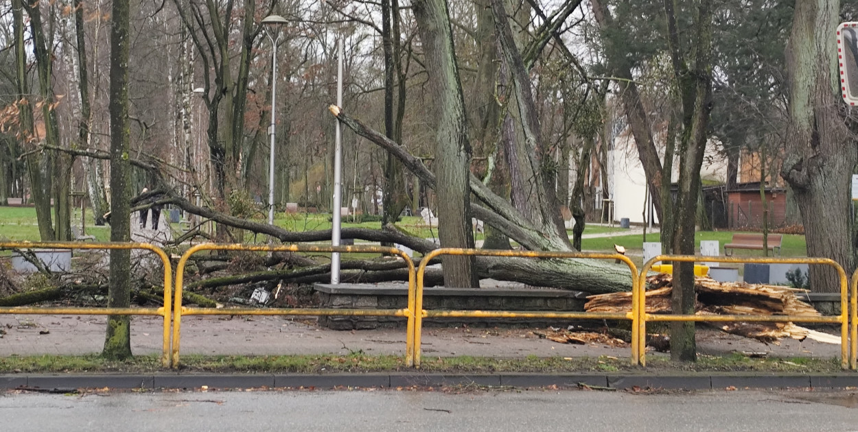 fot. Roma Skrzypkowska, Park Kaszubski w Wejherowie