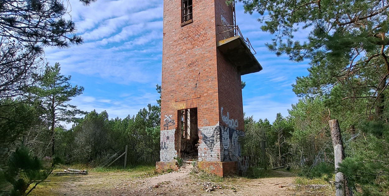 fot. Monika Fischer (stary buczek mgłowy w Stilo)