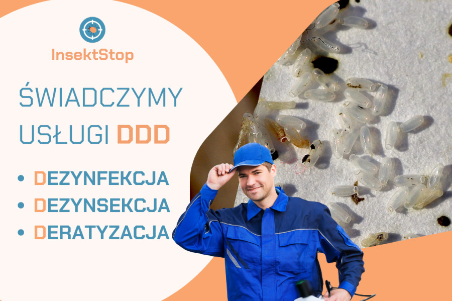 InsektStop - o firmie