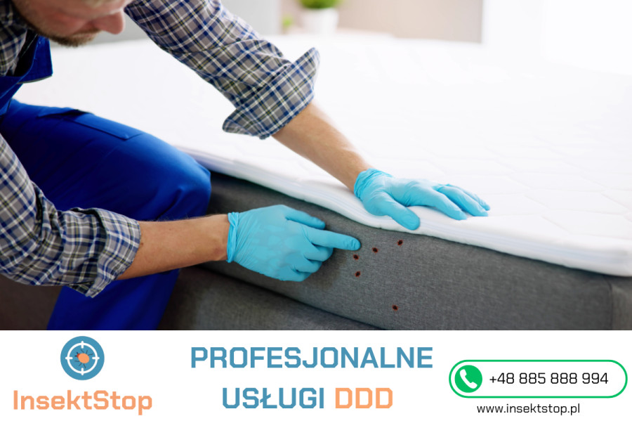 InsektStop - usługi