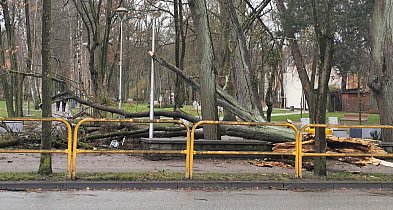 Wyjazdy OSP w związku z silnym wiatrem-41835