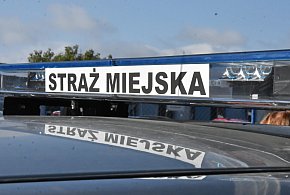 Kombinujesz z piecem? Zapuka strażnik i możesz zapłacić 5 tys. zł kary-42584