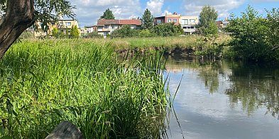Spotkajmy się nad Redą - akcja sprzątania-43614