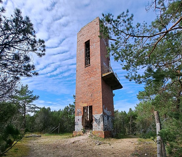 Coś do zobaczenia-43738