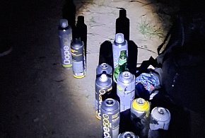 Wandale zatrzymani na gorącym uczynku-43767