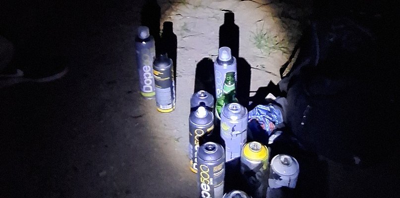 Wandale zatrzymani na gorącym uczynku - 43767