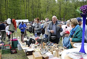 Sukcesywnie zakończony Pchli Targ w Wejherowie-43905