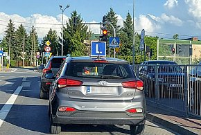 Egzamin na prawo jazdy będzie inny. Od 1 lipca nowe zasady-44507