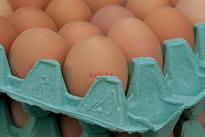 Salmonella na jajach znanej marki. Nie jedz, jeśli masz je w lodówce!-44628