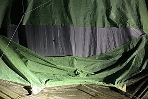 Łoś w Lubiatowie zdewastował namioty-44644