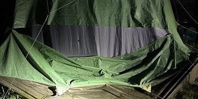 Łoś w Lubiatowie zdewastował namioty-44644