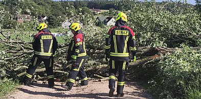 Doposażenie strażaków z OSP Słajszewo-45086