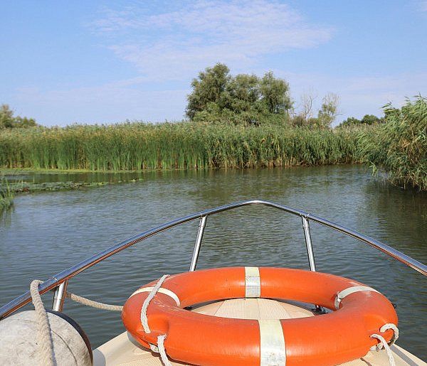 Bezpieczny długi weekend-45227