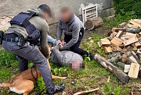 Poszukiwany za przestępstwa narkotykowe-45550