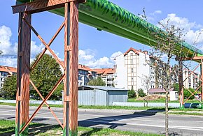 Rury zamieniły się w drzewa-45871