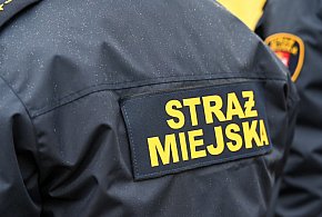 Zapuka strażnik, zapłacisz karę. Ruszyły kontrole w całej Polsce-46155