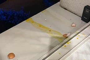 Rozbite jajka na oknie sąsiadów-46478