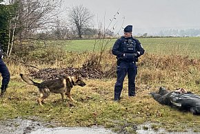 Ignorował sygnały policji, porzucił auto i uciekł. Daleko nie zaszedł-46661
