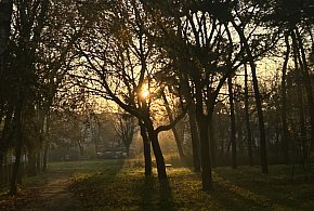 Nadchodzi najkrótszy dzień w 2025 roku. Sprawdź, kiedy przypadnie-47197
