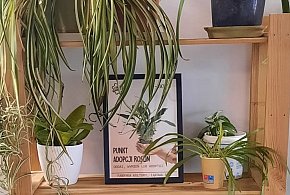 Oddaj, wymień, zabierz – zielony punkt adopcji