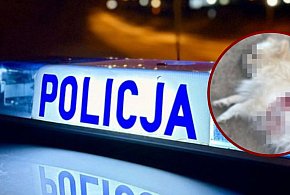 Zastrzelił psa sąsiadów. Nocny dramat w Gminie Łęczyce