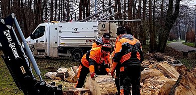 Nowa ekologiczna enklawa w parku w Ciechocinie-47040