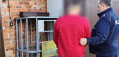 18 zarzutów i areszt. 42-latek zatrzymany w Luzinie