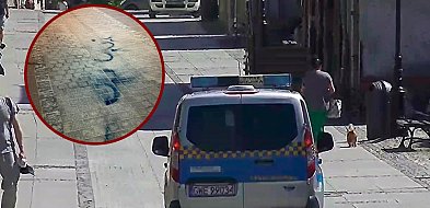 Strażnicy miejscy zatrzymali mężczyznę z farbą w sprayu