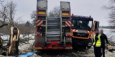 Groźne zdarzenie drogowe pod Szemudem - kolizja ciężarówek