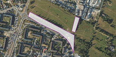 Rumia łapie deszcz i tworzy park