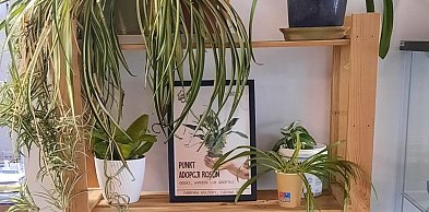 Oddaj, wymień, zabierz – zielony punkt adopcji