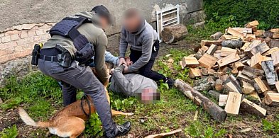 Poszukiwany za przestępstwa narkotykowe-45550