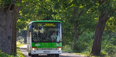 Zamknięta droga w Sasinie. Wyznaczono objazd-45865