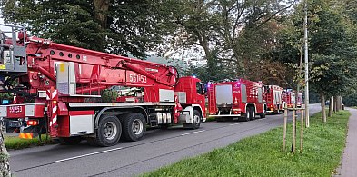 Pożar na terenie ogródków działkowych-45898