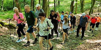 Coś dla zdrowia? Nordic walking-46242