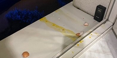 Rozbite jajka na oknie sąsiadów-46478