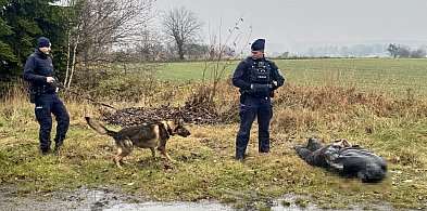 Ignorował sygnały policji, porzucił auto i uciekł. Daleko nie zaszedł-46661
