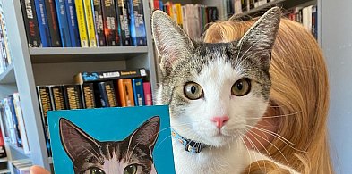 Sprawa próby kradzieży kota z biblioteki doczekała się finału-47533