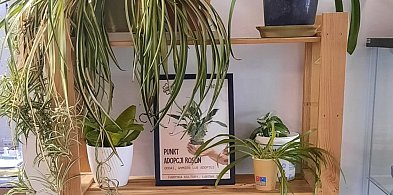 Oddaj, wymień, zabierz – zielony punkt adopcji