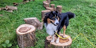Redzka strefa relaksu w zgodzie z naturą-45799