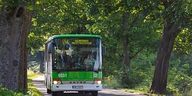 Zamknięta droga w Sasinie. Wyznaczono objazd-45865
