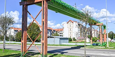 Rury zamieniły się w drzewa-45871