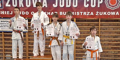 Redzcy judocy z sukcesami-45917