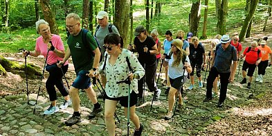 Coś dla zdrowia? Nordic walking-46242