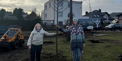 W Redzie powstają kolejne enklawy zieleni-46953