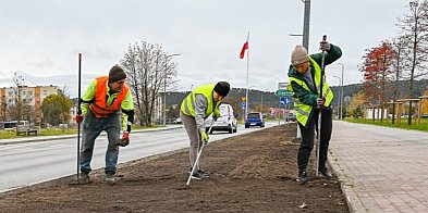 Blisko 2 tysiące roślin w sercu Rumi-46992