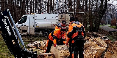 Nowa ekologiczna enklawa w parku w Ciechocinie-47040